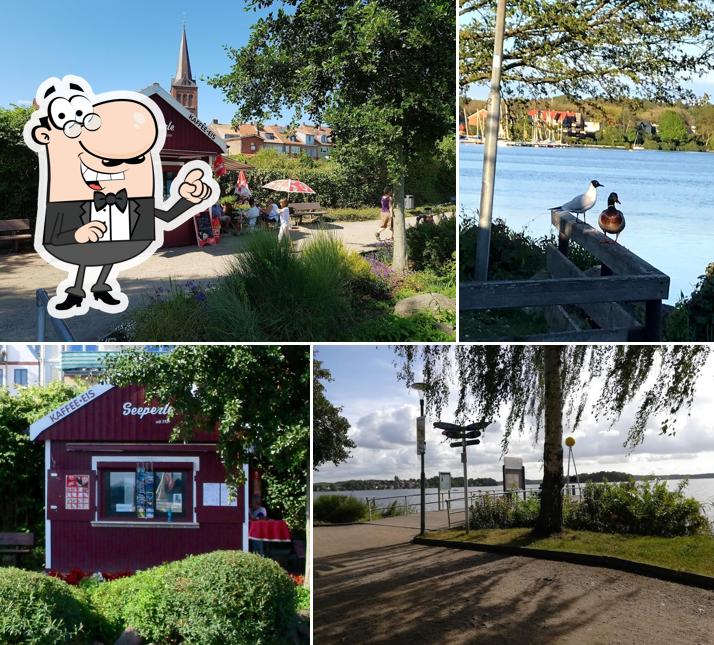Seeperle Plön