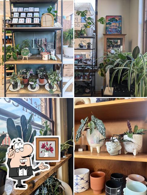 The Paper Garden Co.