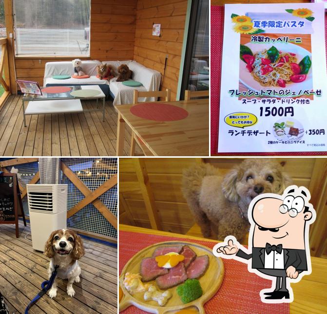 Only・WAN 愛犬のお庭
