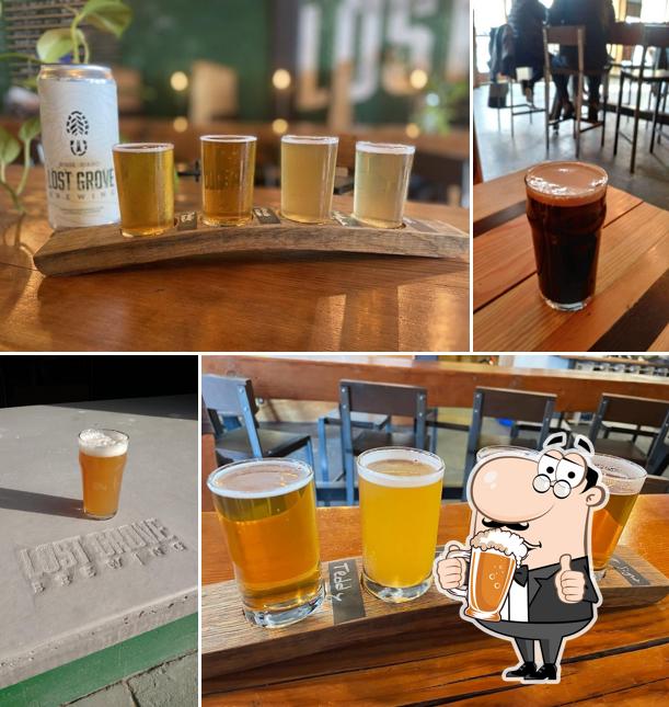 Lost Grove Brewing