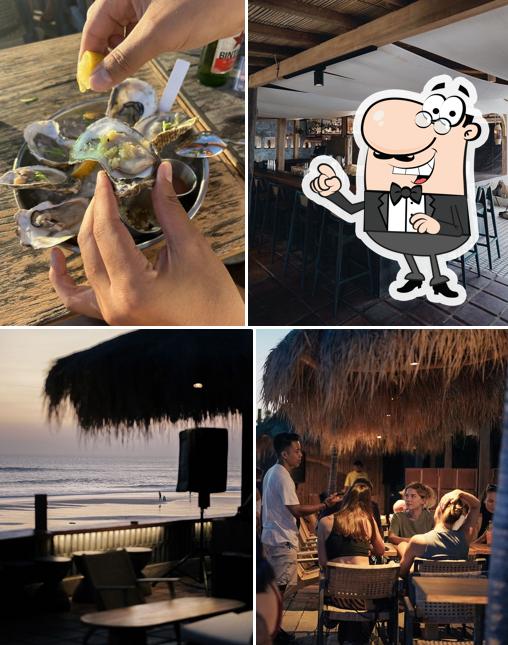 Oyster Dealer Beach Haus