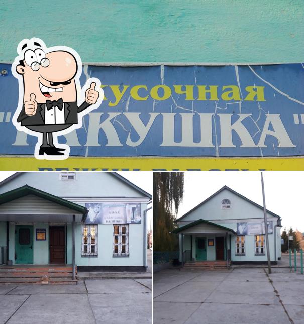 Ракушка