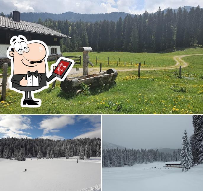 Sulzner Kaser Alm