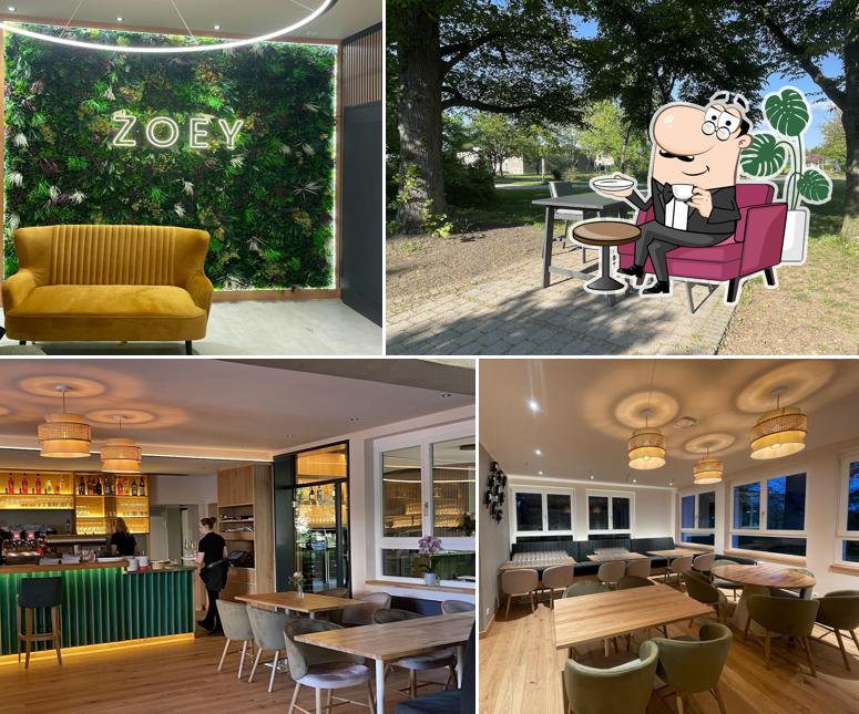 ZOEY Restaurant