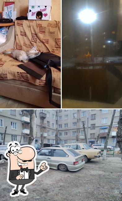 Забава