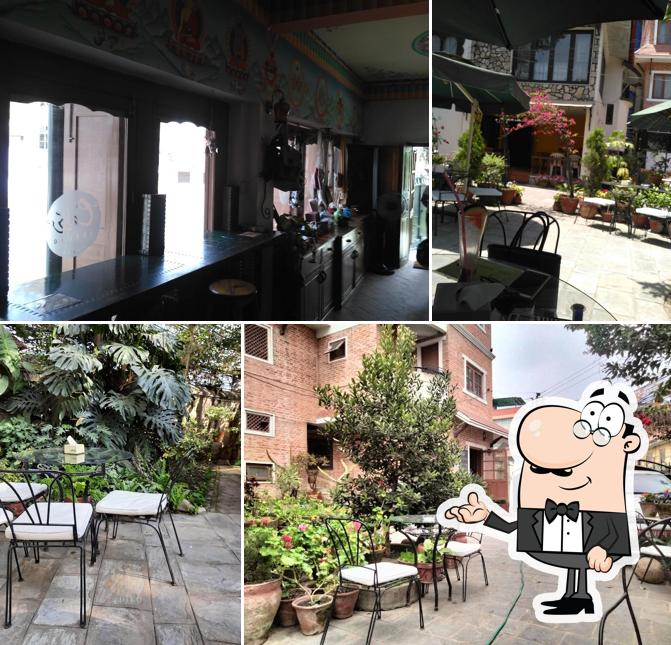 Cafe Cheeno