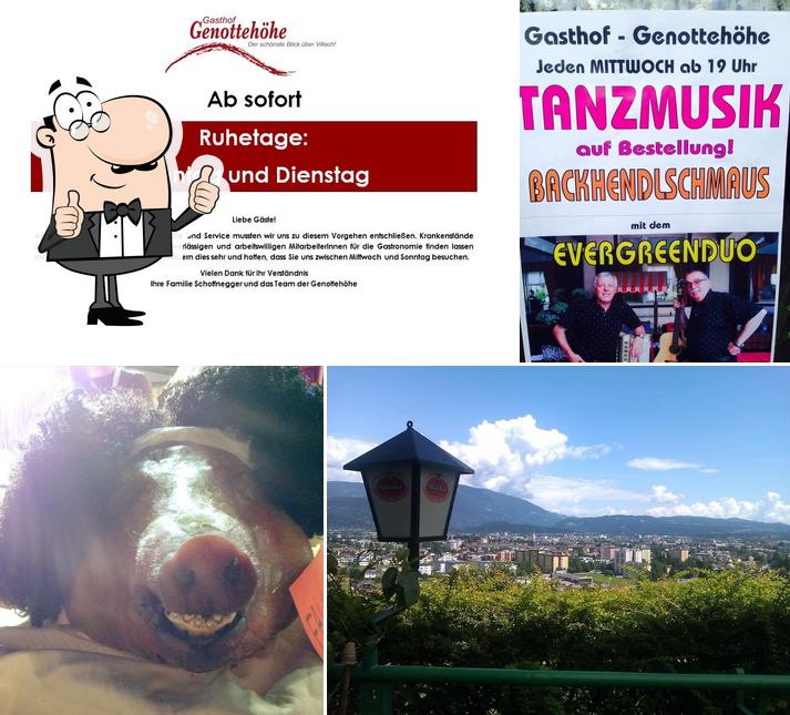 Genottehöhe