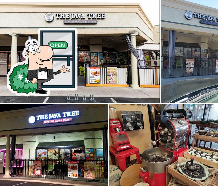 The Java Tree - Roasters, Cafe, and Bakery