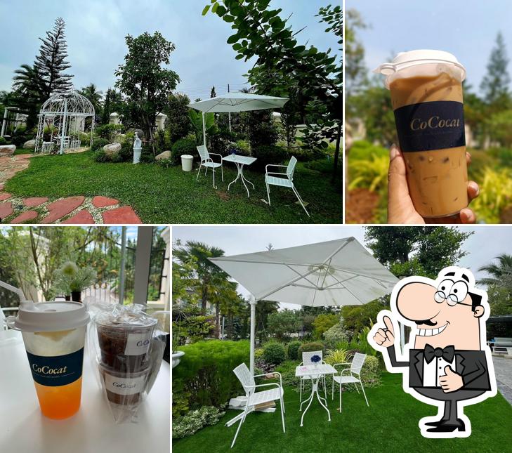 Cococatcafe โคโค่แคทคาเฟ่