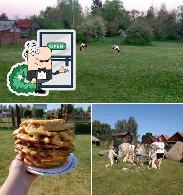 У Рыся