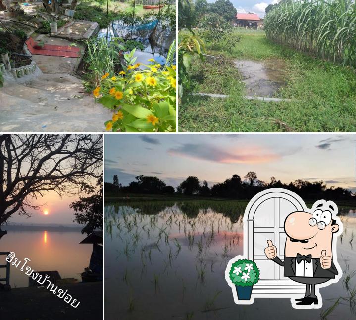 สง่าฟาร์ม