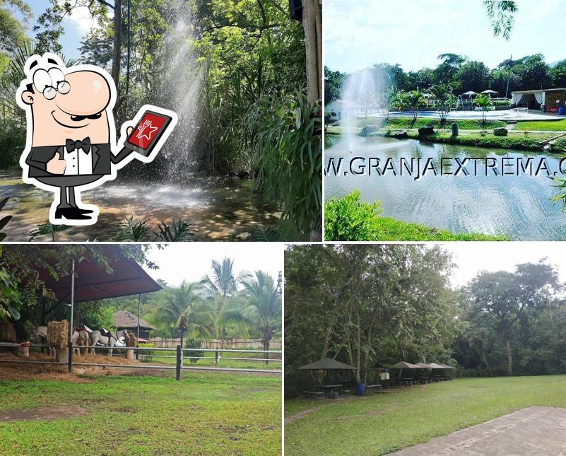 Granja Extrema