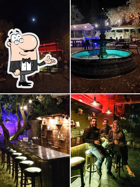 Ayloul Lounge