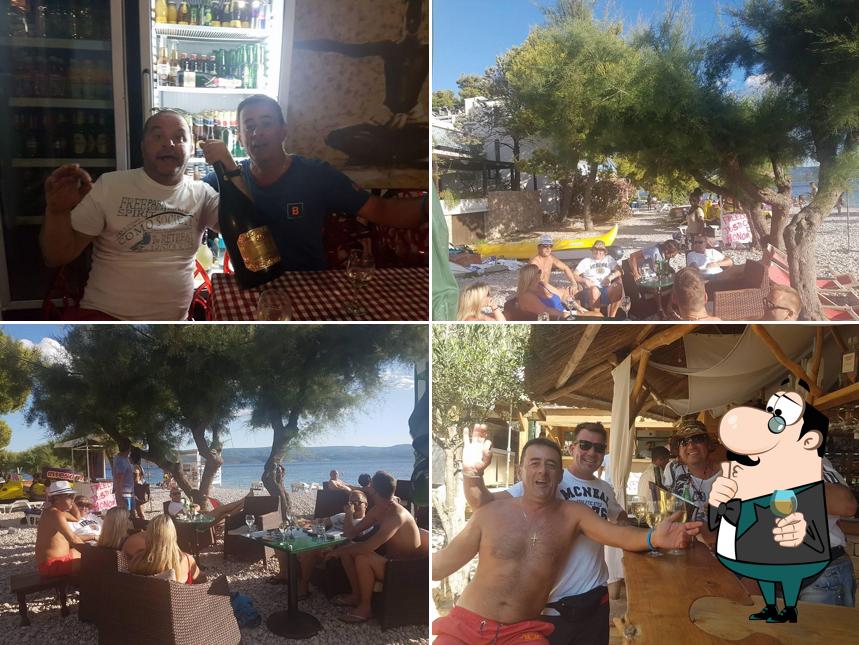Beach Bar Shark