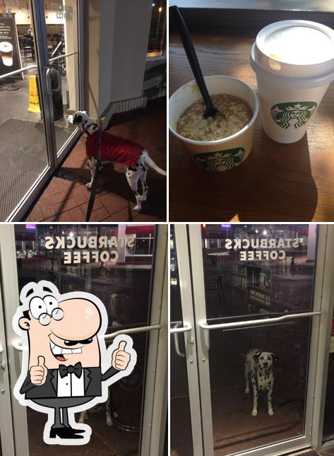 Starbucks Coffee Company