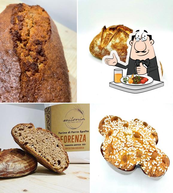 Triticum Micropanificio Agricolo