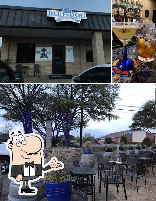 The Blue Dog Wine and Martini Bar