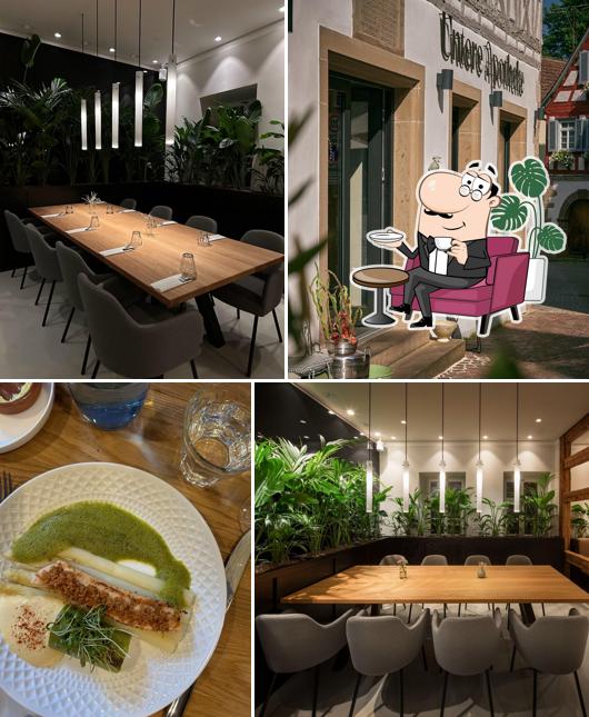 Restaurant Untere Apotheke