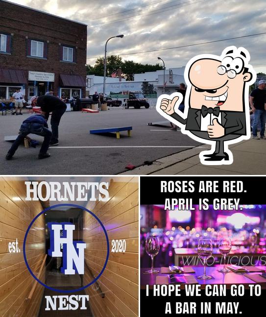 Hornet's Nest