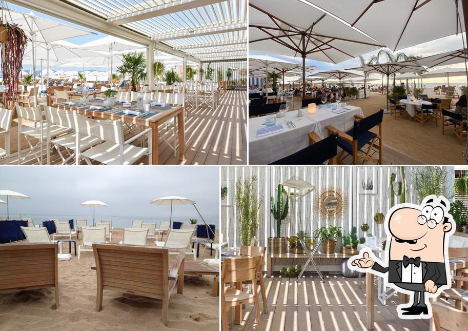 La Plage Du Festival