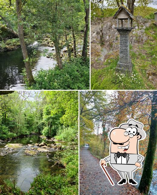 Chesters By The River