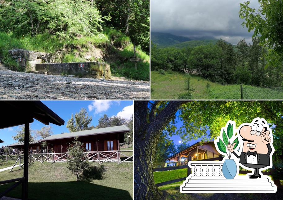 Camping Vettore