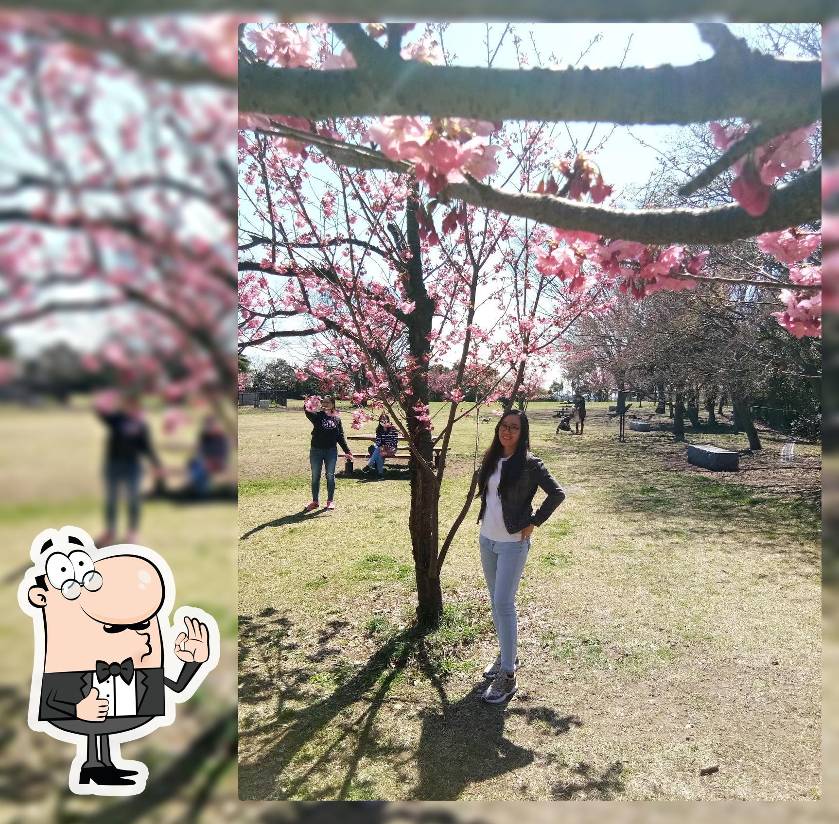 Ai’s Place