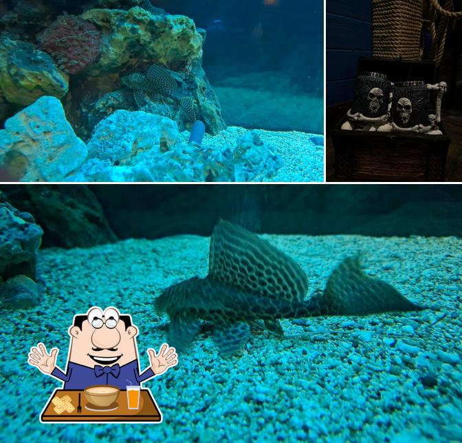 Еда в "Адмирале Джоне Бенбоу"