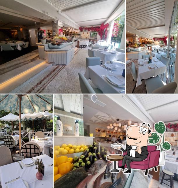 GAIA Marbella