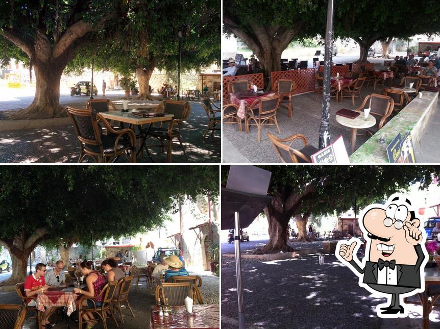 OASI Café Bar Restaurant