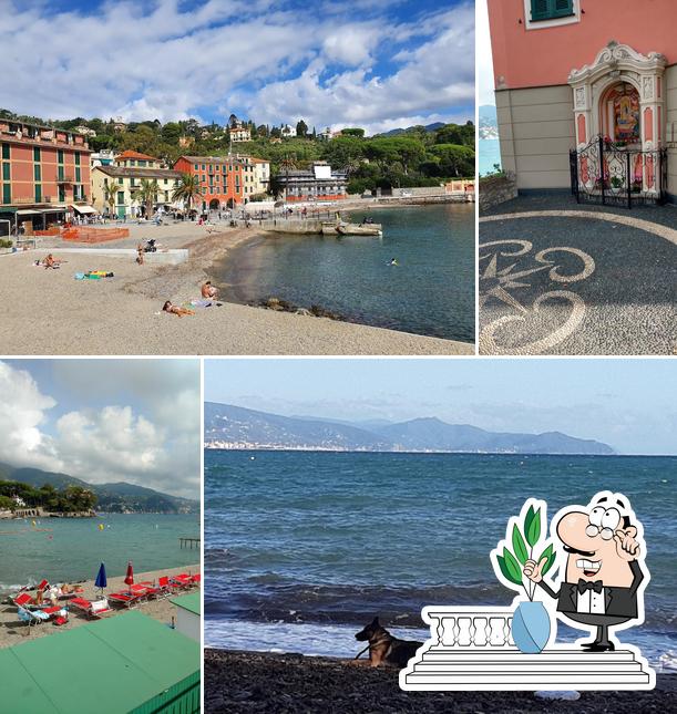 La Marina