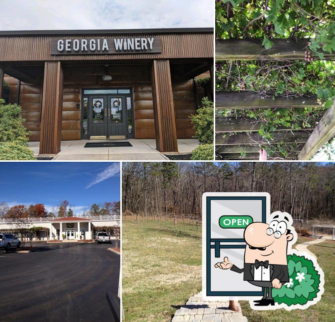 Georgia Winery: Pinsa Oven & Vineyard Experience