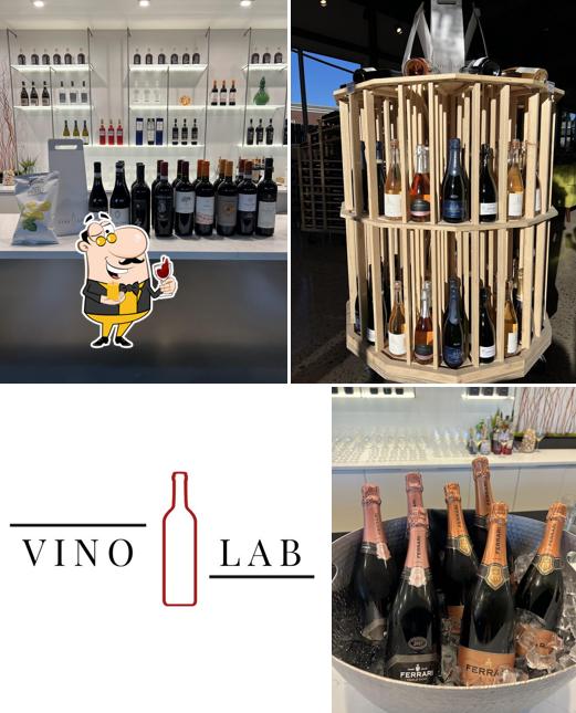 Vino Lab
