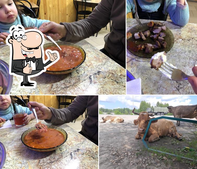 Спутник