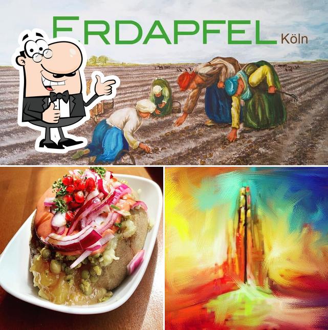 Erdapfel Köln