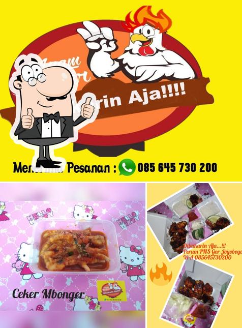 Ayam Bakar Dibakarin Aja...