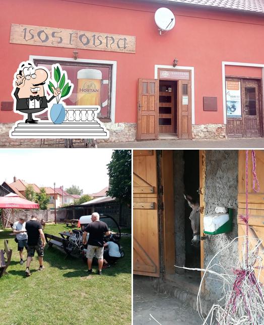 Klubovna Voslovna