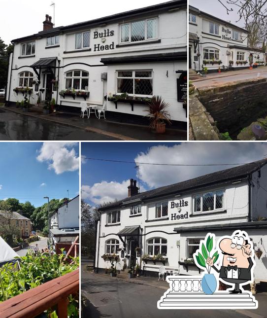 Bulls Head