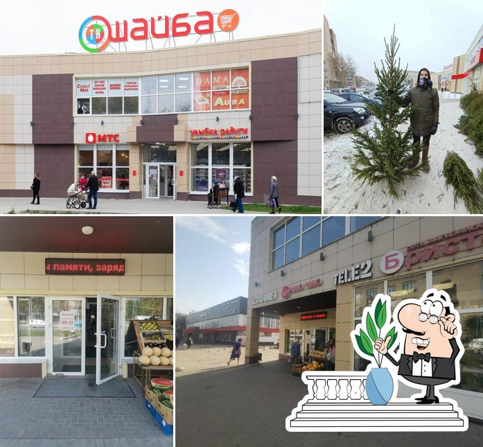 Шайба