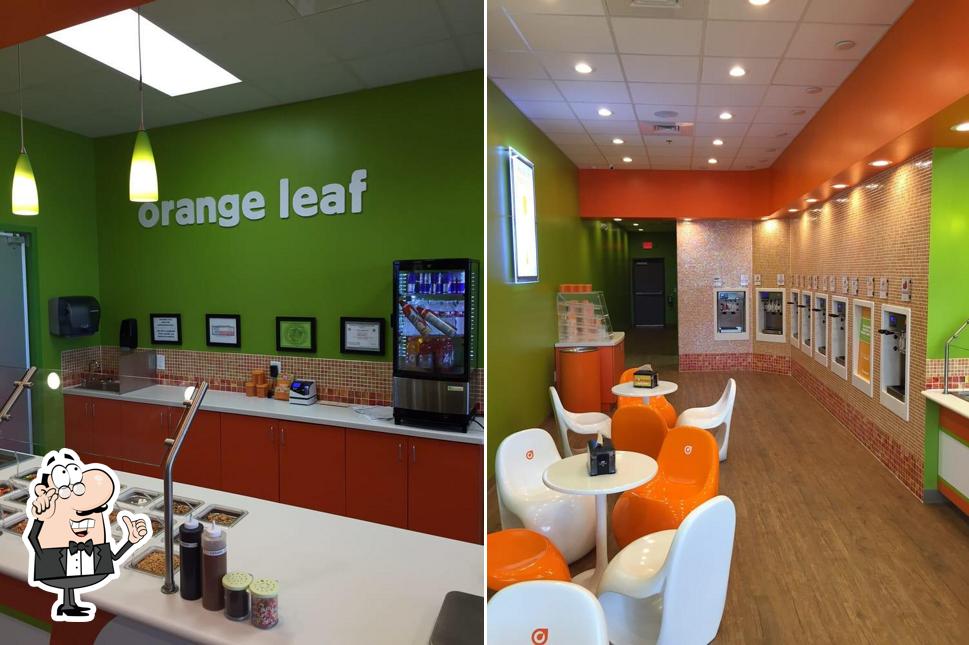 Orange Leaf Frozen Yogurt