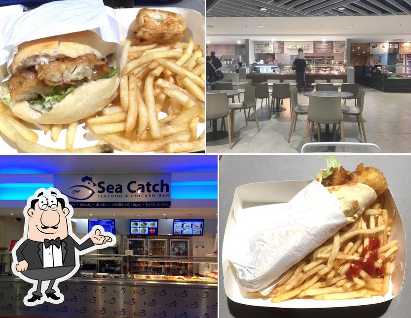 Mr Chippy's