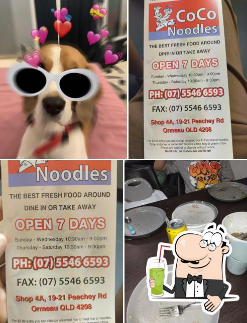 Coco Noodles