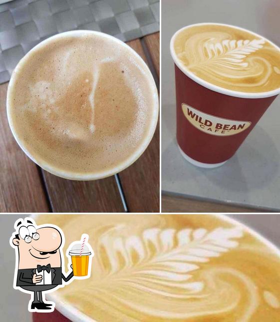 wildbean cafe