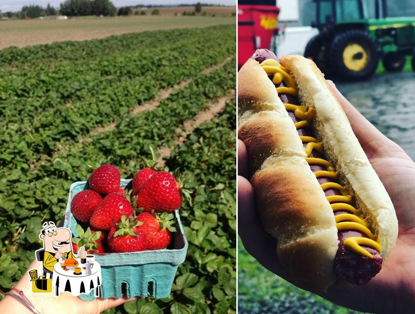 Lonely Lane Farms