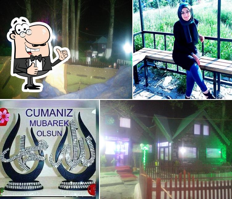 Alabalık Tesisi