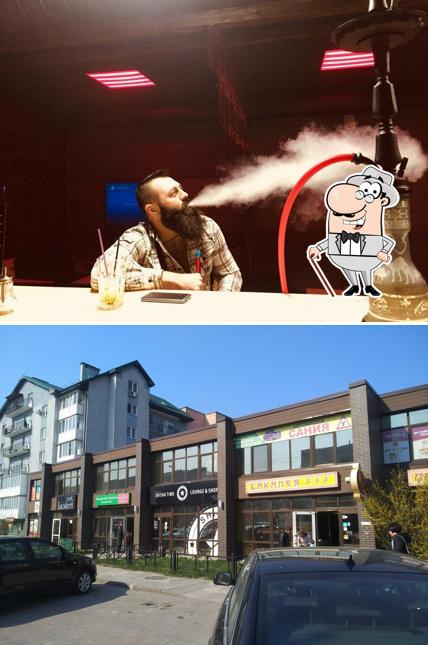 Кальянная ShishaTime