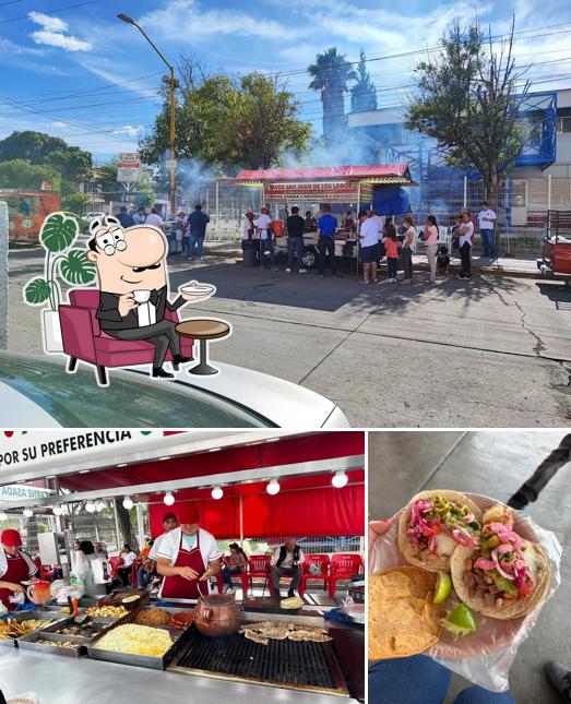 Tacos San Juan de los Lagos, “Los originales de Lolo el cuñado”