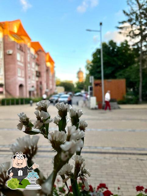 Взгляните на фасад "Кафе Буфет"