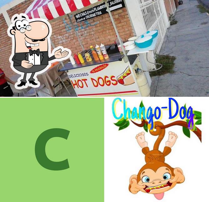 Chango-Dog