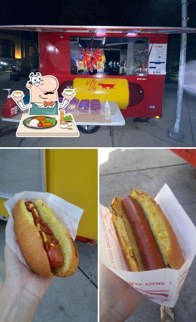 Willy Dog